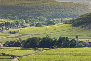 cote et hautes cotes de beaune