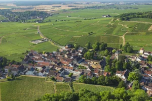 cote et hautes cotes de nuits