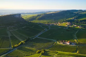 maconnais